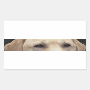 yellow lab eyes sticker