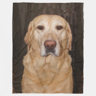 Yellow Lab Fleece Blanket