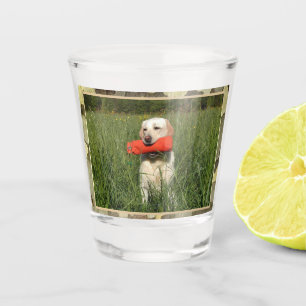 Yellow Lab Hunting Dog With  Camo Trim Shot Glass