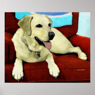 YELLOW LAB IN CHAIR POSTER