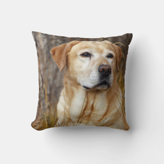 Yellow Lab in Field Throw Pillow (Front)