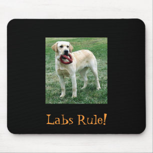 Yellow Lab, Labs Rule! Mouse Pad