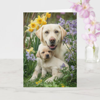 Yellow Lab Mom Mother’s Day Love Card