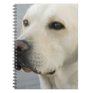 Yellow Lab Notebook