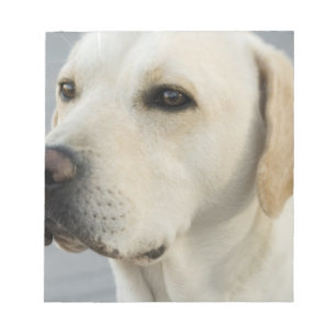 Yellow Lab Notepad