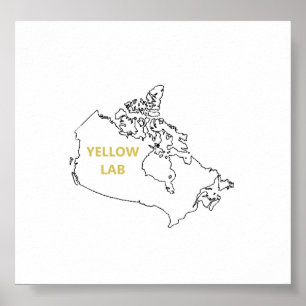 yellow lab origin.png poster