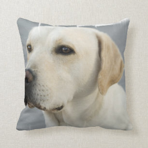 Yellow Lab Pillow