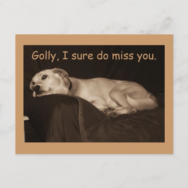 Yellow Lab Pit Husky Golly I Sure Do Miss You Postcard (Front)