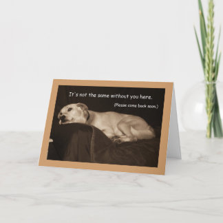 Yellow Lab Pit Husky I Miss You Card