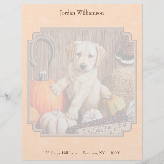 Yellow Lab Pup and Pumpkin Harvest Orange Letterhead (Front)