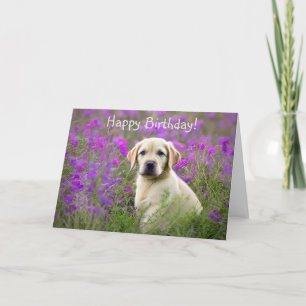 Yellow Lab Puppy Birthday Card