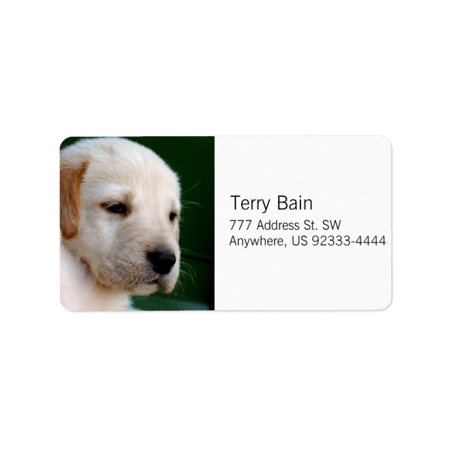 Yellow Lab Puppy Label (Front)