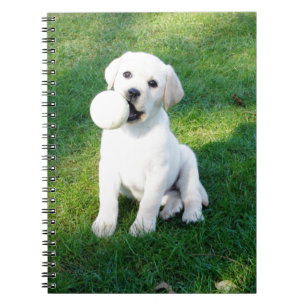 Yellow Lab Puppy Notebook
