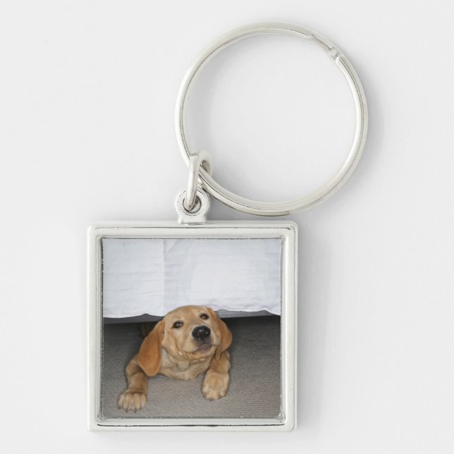 Yellow lab puppy stuck under bed keychain (Front)