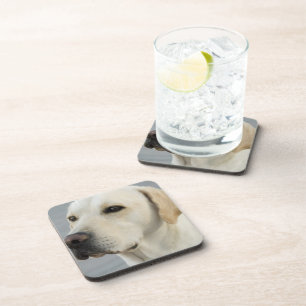 Yellow Lab Set of Six Coasters