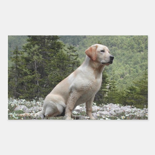 Yellow Lab Sitting Sticker (Front)