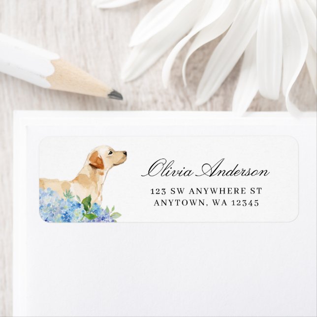 Yellow Labrador Blue Hydrangea Return Address (Insitu)