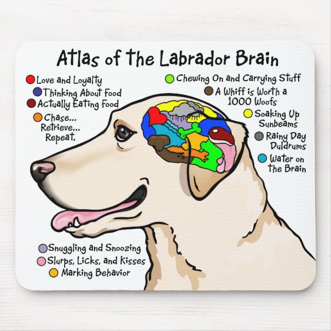Yellow Labrador Brain Atlas Mouse Pad (Front)