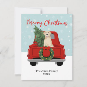 Yellow Labrador Christmas Red Truck Family Name Holiday Card