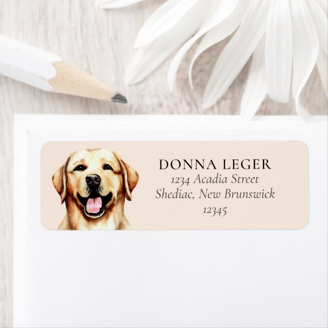 Yellow Labrador Dog Personalized Address (Insitu)