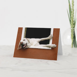 Yellow Labrador Greeting Card