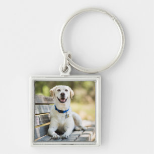 Yellow Labrador Lays On Bench Keychain