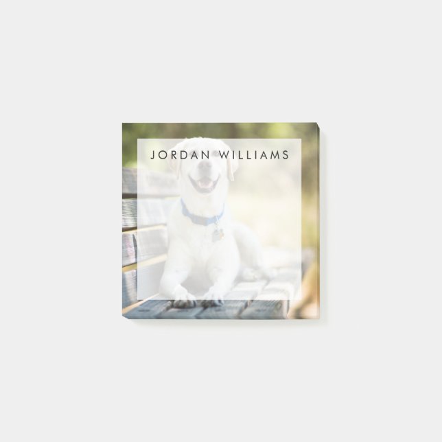 Yellow Labrador Lays On Bench Post-it Notes (Front)