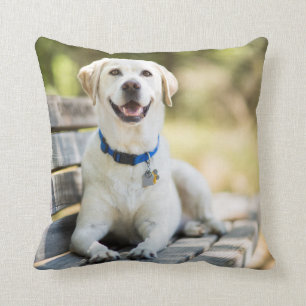 Yellow Labrador Lays On Bench Throw Pillow