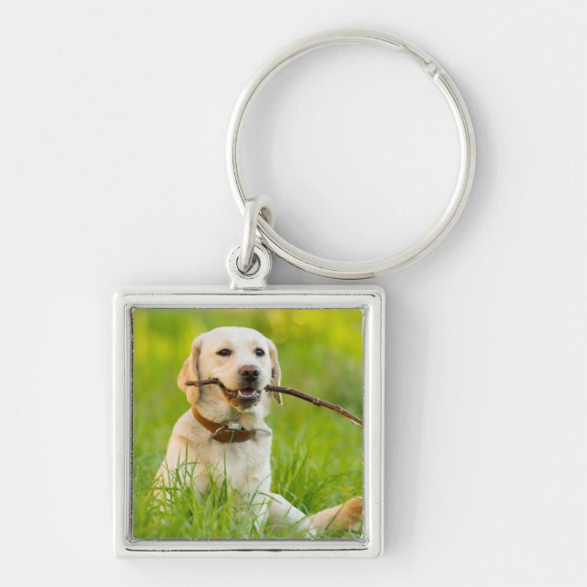 Yellow Labrador Plays Fetch With Stick Keychain (Front)