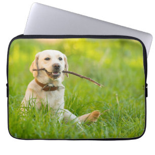 Yellow Labrador Plays Fetch With Stick Laptop Sleeve