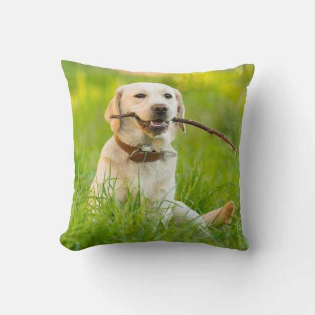 Yellow Labrador Plays Fetch With Stick Throw Pillow (Front)