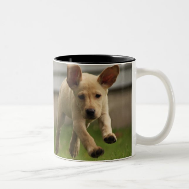 Yellow Labrador Puppies Running Two-Tone Coffee Mug (Right)