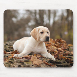 Yellow Labrador Puppy In Autumn Mouse Pad