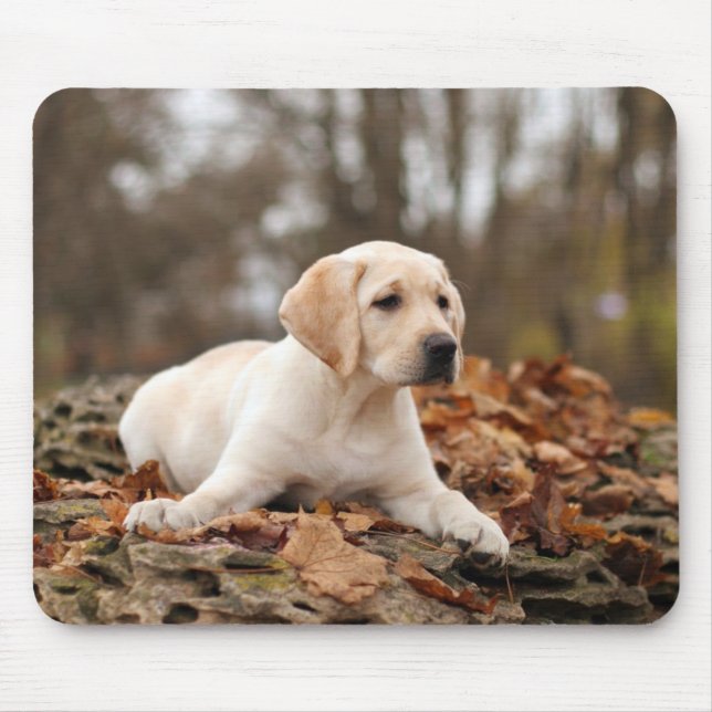 Yellow Labrador Puppy In Autumn Mouse Pad (Front)