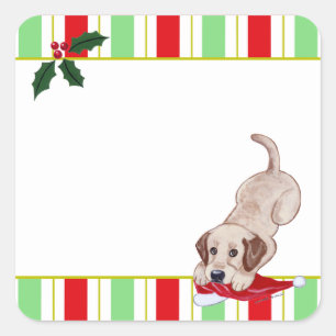 Yellow Labrador Puppy & Santa Hat Christmas Square Sticker