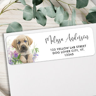 Yellow Labrador Retriever Chien Puppy Adresse de r