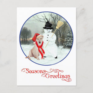 Yellow Labrador Retriever Christmas Holiday Postcard