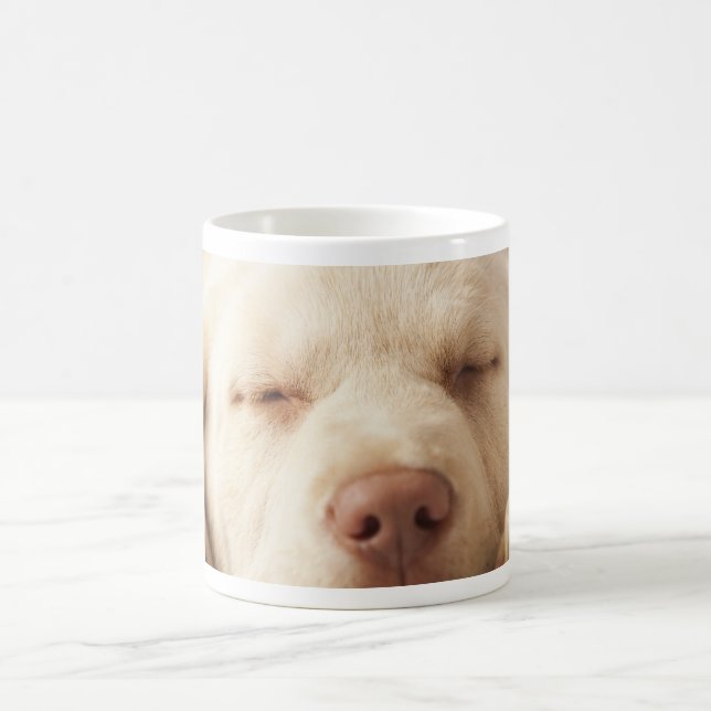 Yellow Labrador Retriever Coffee Mug (Center)