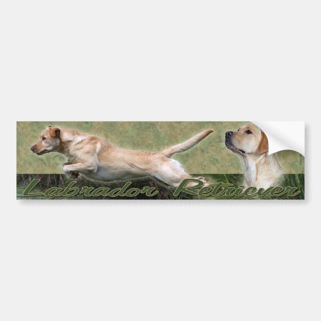Yellow Labrador Retriever collage Bumper sticker (Front)