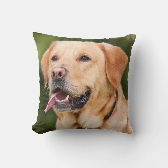 Yellow Labrador Retriever Dog - Lab Throw Pillow (Front)