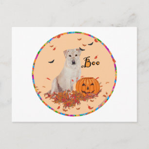 Yellow Labrador Retriever Halloween Postcard