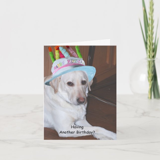 Yellow Labrador Retriever in Birthday Hat Card (Front)