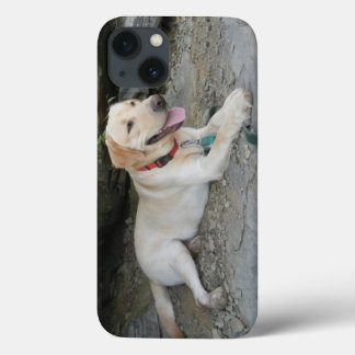 Yellow Labrador Retriever iPhone 8 Coque