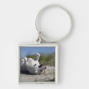 Yellow Labrador Retriever Keychain