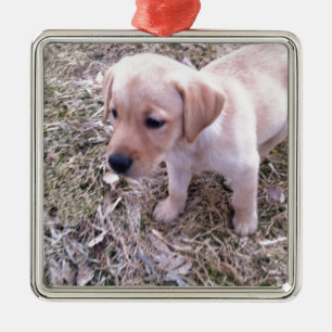 Yellow Labrador Retriever Metal Ornament