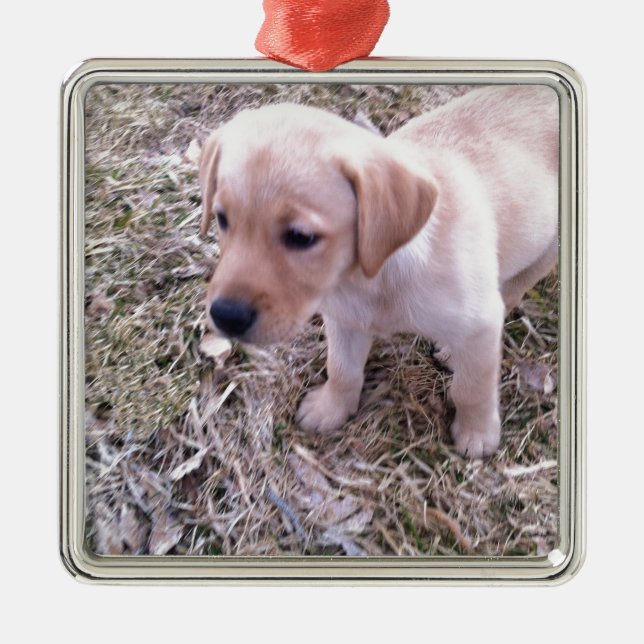 Yellow Labrador Retriever Metal Ornament (Front)