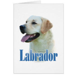 Yellow Labrador Retriever Name