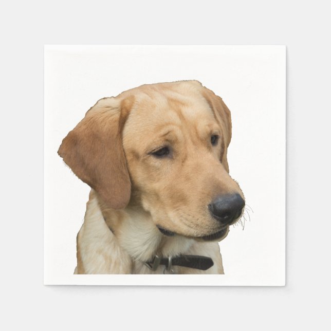 Yellow Labrador Retriever Napkin (Front)