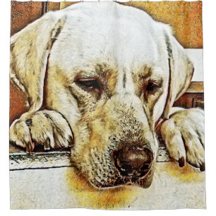 Yellow Labrador Retriever on Door