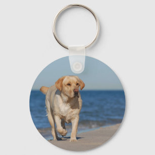 Yellow labrador retriever on the beach keychain